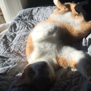 Meet your Posher, Ronnie